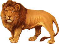 Лев